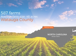 Watauga County, NC: 587 farms, average farm size 48 acres