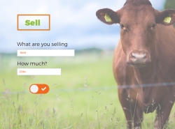 sell screenshot with fields for What are you selling? and How much?